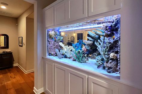 Portfolio Fish Tank Room Divider, Aquarium In House Living Rooms, In The Wall Fish Tank, Built In Fish Tank Ideas, Aquarium House Interior Design, Big Aquarium In House, Modern Aquarium Design, Fish Tanks In Living Room, Wall Fish Tank Ideas