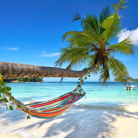 Tropical Paradise Beach, Beach Entry Pool, Beach Hammock, Portable Hammock, Camping Hammock, Beach Vacation Outfits, Beach Wallpaper, Get Outdoors, Beach View