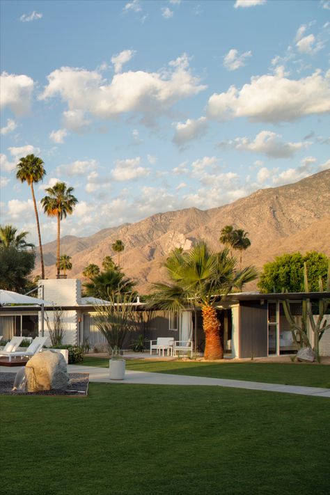 Palm Springs Bungalow, Palm Springs Country Club, Palm Springs Asethic, Palm Desert Aesthetic, Retro Palm Springs Aesthetic, Palm Springs Mid Century Modern Interior, 1950s Palm Springs, Palm Springs Landscape, 1960s Palm Springs