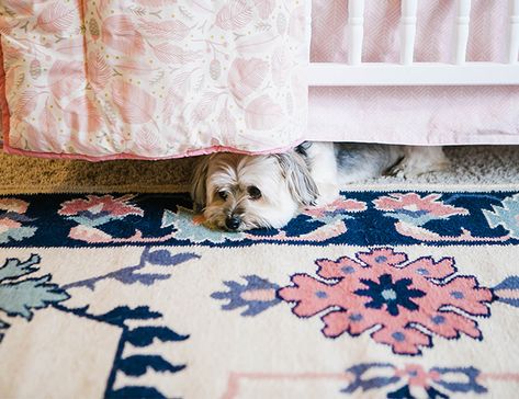 Pink And Navy Nursery, Bright Floral Nursery, Bedding Guide, Pink Nursery Rug, Nursery Rugs Girl, Blue Girls Rooms, Dark Blue Rooms