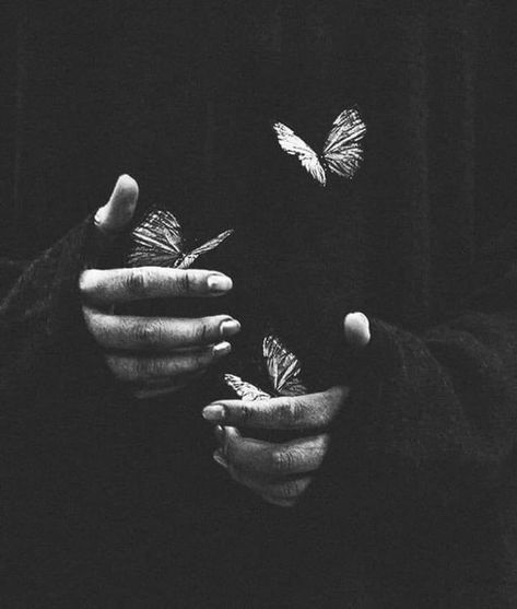 Butterfly Black And White, Black And White Photo Wall, Magical Thinking, Black And White Picture Wall, Ange Demon, Gray Aesthetic, Black And White Aesthetic, Black Aesthetic Wallpaper, Dark Photography