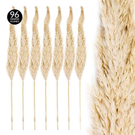 Pampas Grass Wedding Decor - Koyal Wholesale Dried Pampas Grass Decor, Gallery Frame Set, Wedding Supplies Wholesale, Ornamental Grass, Modern Picture Frames, Dried Pampas, Pampas Grass Decor, Grass Decor, Grass Wedding