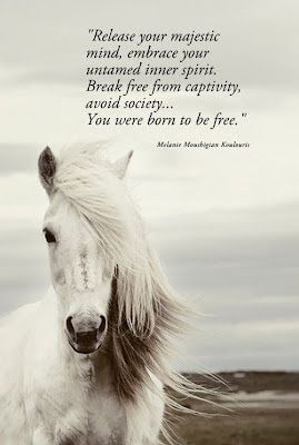 Positive & Inspirational Quotes: You were born free. Wild Soul Quotes, Wild Spirit Quotes, Wild Horses Quotes, Wild And Free Quotes, Horse Spirit Animal, Wild Quotes, Broken Spirit, Butterfly Quotes, Spirit Quotes