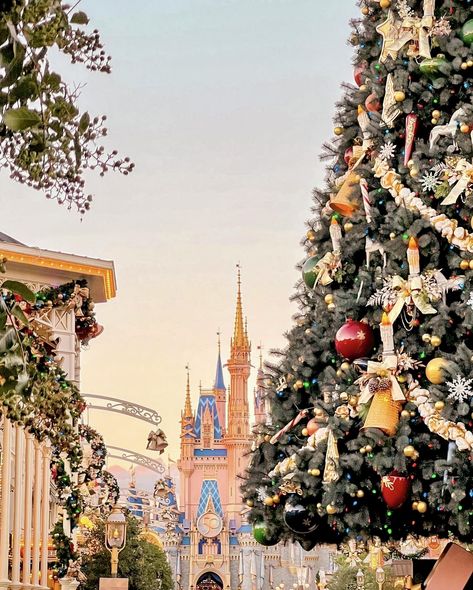 Disney Christmas Wallpaper Aesthetic, Orlando Christmas, Disney World Aesthetic, Christmas Instagram Pictures, Disney Poses, Alice In Wonderland Pictures, Disney World Attractions, Christmas Wallpaper Iphone Cute, Disneyland Christmas