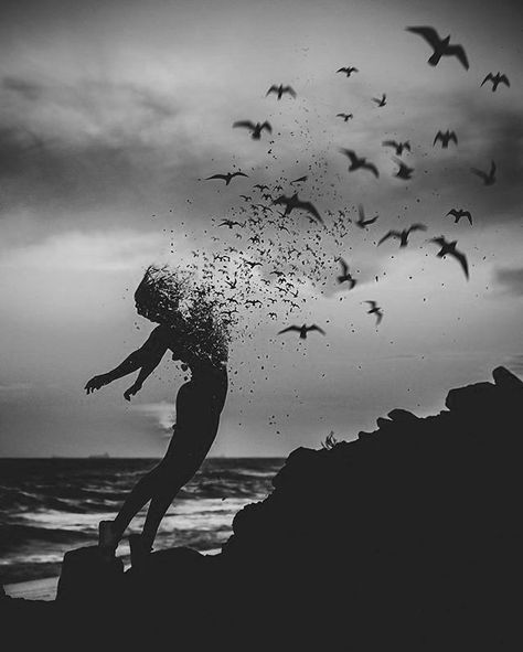 Tekken 2, Foto Top, Deep Art, Dark Art Drawings, Beautiful Dark Art, Dark Photography, Birds Flying, Dark Fantasy Art, Dark Aesthetic