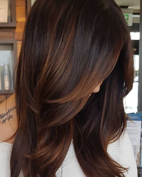 Copper Highlights For Dark Hair Highlights For Dark Brown Hair, Jamie Chung, Redken Shades Eq, Dark Hair With Highlights, Vlasové Trendy, Trendy Hair Color, Brown Hair With Highlights, Stil Inspiration, Dark Brown Hair