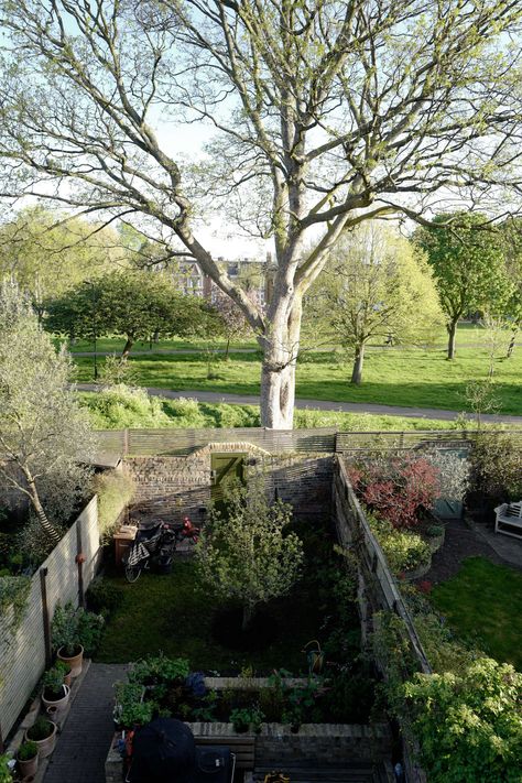 A Greatest-Hits Kitchen for a Danish-American Couple in London: Kitchen of the Week Plain English Kitchen, Rockery Garden, Dubai Garden, Small City Garden, American Couple, Plain English, London Kitchen, Building Roof, City Garden