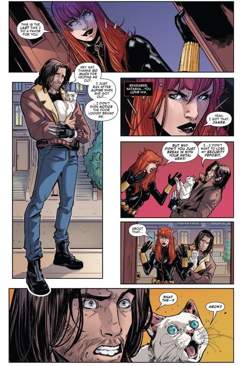 Bucky Barnes And Natasha Romanoff, Bucky Barnes Comic, Marvel Bucky Barnes, Marvel Bucky, Women Of Marvel, Bucky And Natasha, Black Widow Winter Soldier, Наташа Romanoff, Bucky And Steve