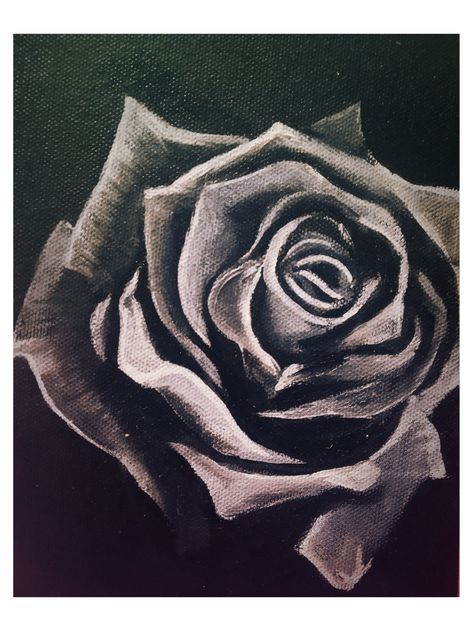 Black Rose Painting, Rose Art Painting, Black Canvas Painting, Black Canvas Art, Velvet Painting, Watercolour Flower, Gold Art Painting, Black Canvas Paintings, Black Paper Drawing