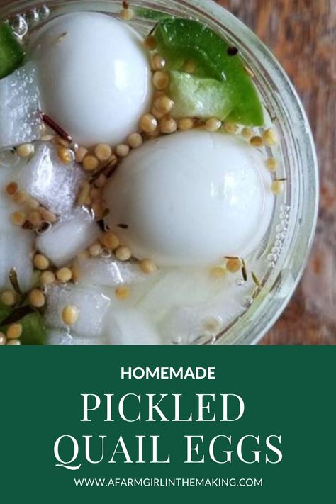 Pickled Quail Eggs Recipe, Eggs Substitute, Easy Pickled Eggs, Quail Eggs Recipe, Pickled Quail Eggs, Baked Bree Recipe, Pickled Eggs Recipe, Quail Recipes, Peeling Hard Boiled Eggs