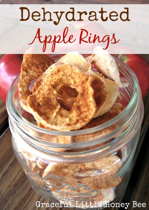 Dehydrated apple rings are a healthy snack that kids love! Dried Apple Rings, Cheap Snack, Dehydrated Apples, Dehydrating Food, Apple Rings, Easy Tomato Sauce, Dehydrated Fruit, Dried Apples, Dehydrated Food