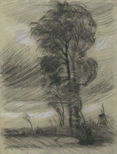 Van Gogh Tree, Weather Drawing, Van Gogh Museum Amsterdam, Van Gogh Drawings, Theo Van Gogh, Van Gogh Prints, Tree Drawings, Van Gogh Landscapes, Vincent Willem Van Gogh