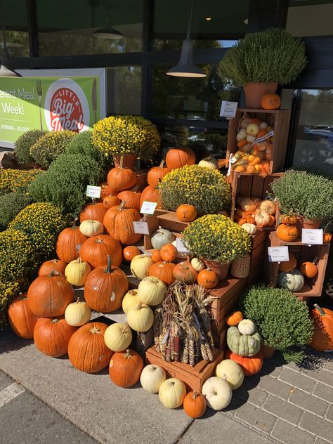 TFM009 fall display Fall Produce Displays, Vegetable Display, Fall Displays, Fruit And Veg Shop, Produce Displays, Wholesale Home Decor, Autumn Display, Halloween Displays, Trader Joe’s