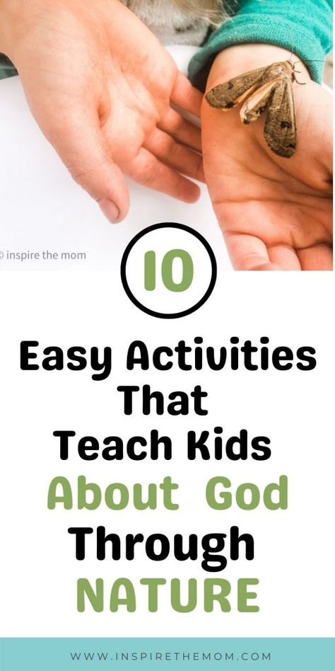 Bible Study For Kindergarten, Kindergarten Bible Study, Outdoor Bible Study, Kindergarten Bible Lessons, Christian Kindergarten, Sukkot Ideas, Pond Activities, Biblical Homeschooling, Nature Lessons