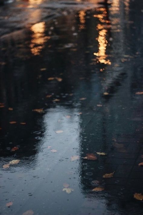 Rainy Wallpaper, Rainy Mood, Cozy Rainy Day, Rain Pictures, Rainy Day Aesthetic, Morning Rain, I Love Rain, Rain Wallpapers, Autumn Rain