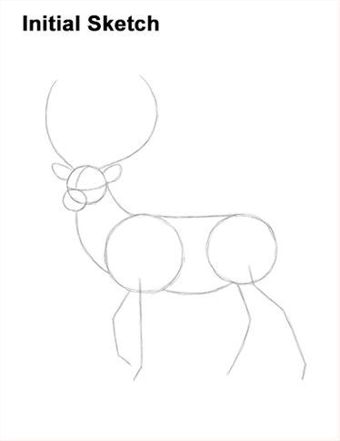 How To Draw A Deer, Deer Drawing Sketches, Deer Sketches, Deer Video, Deer Drawing Easy, Draw A Deer, Deer Sketch, Deer Drawing, Deer Painting