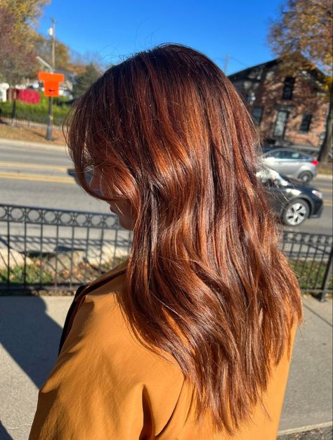 Dark Copper Hair With Dark Roots, Cooper Hair Dark Roots, Orange Tinted Brown Hair, Copper Gloss Brown Hair, Dark Copper Hair Color Brown, Auburn Hair Dark Roots, Copper Hair Brown Roots, Copper On Dark Hair, Dark Orange Brown Hair