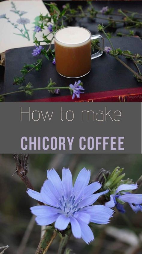 Alternative To Coffee, Coffee Alternative Healthy, Medicinal Wild Plants, Edible Flowers Recipes, Wild Food Foraging, Chicory Coffee, Coffee Substitute, Foraging Recipes, Medicinal Herbs Garden