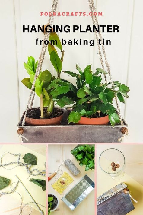 Diy Planters Indoor, Growing Tomatoes Indoors, Hanging Plants Outdoor, Hanging Plants Diy, Diy Hanging Planter, Hanging Plants Indoor, Diy Plant Hanger, Baking Tins, Diy Hanging