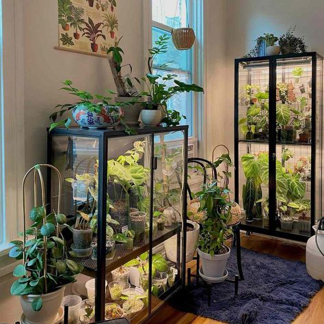 Gemstone Display Shelf, Indoor Glass Greenhouse, Indoor Window Greenhouse, Plant Grow Room Ideas, Indoor Greenhouse Ikea, Greenhouse Inside House, Diy Greenhouse Inside, Diy Greenhouse Cheap Easy Indoor, Plant Grow Room