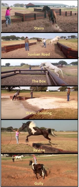 Obstacle course ideas for horses Equine Cross Country, Obstacle Course Ideas For Horses, Cross Country Obstacles, 4 Jump Course, Obstacle Course For Horses, Horse Trail Course, Horse Obstacle Course Ideas Trail, Horse Obstacles Ideas, Diy Horse Obstacles Ideas