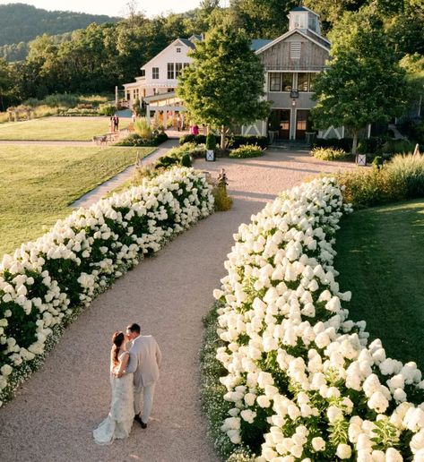 Virginia Winery Wedding, Pippin Hill Wedding, Wine Country Wedding, Luxury Wedding Planner, Coastal Wedding, Wedding Table Settings, Destination Wedding Planner, Dreamy Wedding, Wedding Weekend