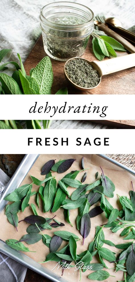 Sage Recipes Fresh, Dehydrating Recipes, Dry Sage, Drying Fresh Herbs, Growing Sage, Sage Recipes, Homemade Stuffing, Favorite Soups, Sage Plant