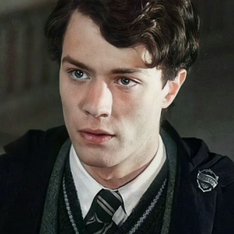 Tom Riddle, The Story, Books Wattpad, Harry Potter, Wattpad, Books