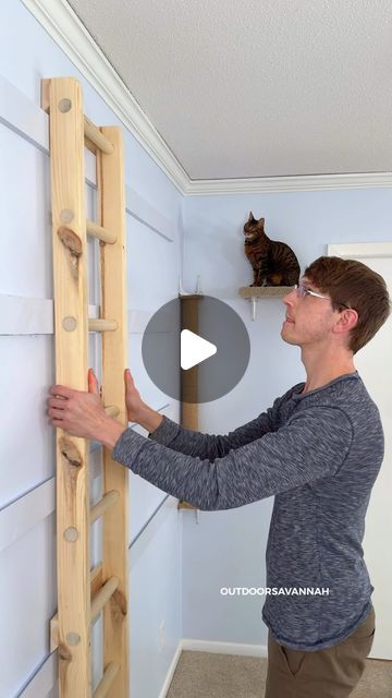 Cat Ladder Diy, Ladder Diy, Cat Ladder, Movable Shelf, Diy Ladder, Cat Diy, Cat Wall, For Cats, Cat House