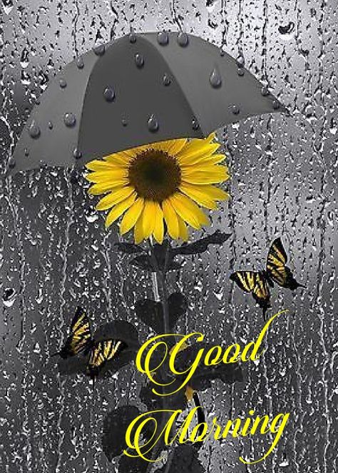 Welcome To A Rainy Day! Raining Day Quotes, Rainy Morning Quotes, Good Morning Rain, Rainy Good Morning, Good Morning Rainy Day, Rainy Day Quotes, Saturday Morning Quotes, Sunday Morning Quotes, Good Morning Wishes Gif