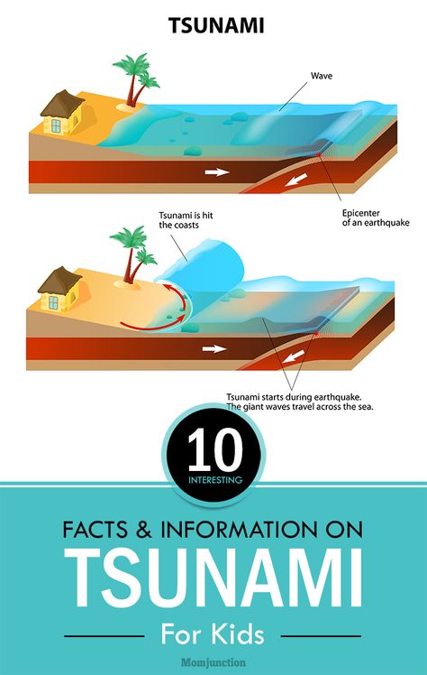 Want to read more information about tsunami facts for kids? Here they go. Your little tot will surely be curious to know about this fun tsunami facts. Tsunami For Kids, Natural Disasters For Kids, Tsunami Project, Natural Disasters Lessons, Classification Essay, The Great Wave Of Kanagawa, Wave Of Kanagawa, 10 Interesting Facts, The Great Wave