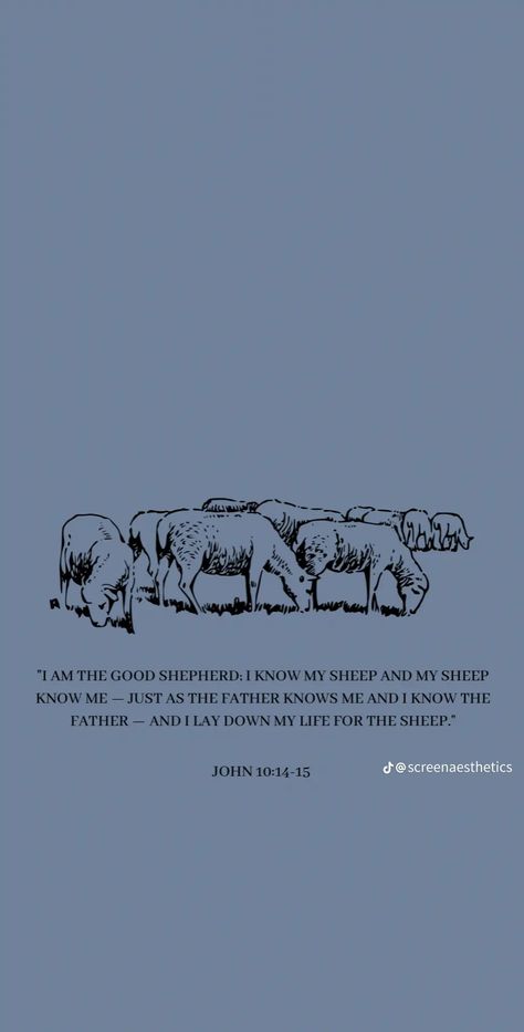 John 10:10 Wallpaper, I Am The Good Shepherd, Bible Wallpaper, Mission Trips, John 10 10, Good Shepherd, Song Of Solomon, The Good Shepherd, Thank You Jesus