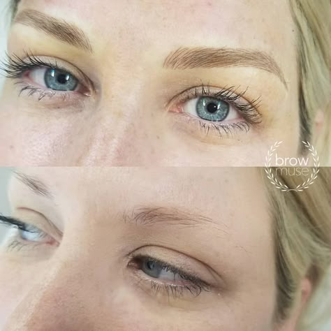 Blonde Microblading, Microblading Artist, Mircoblading Eyebrows, Eyebrows Goals, Blonde Tattoo, Ombre Eyebrows, Light Eyebrows, Permanente Make-up, Blonde Eyebrows