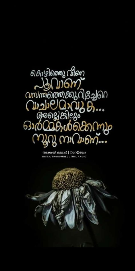 Sleep Better Quotes, മലയാളം ചിന്തകൾ, Quotes Deep Motivational, Deep Motivational Quotes, About You Quotes, Malayalam Quotes, Pooh Quotes, Quotes Poetry, Photo Album Quote