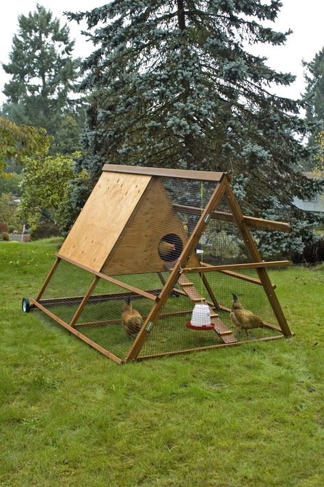 You can find plans for this truly portable and chicken-friendly chicken tractor in the book 40 Projects for Building Your Backyard Homestead. Chicken House Diy, Reban Ayam, Chicken Coop And Run, A Frame Chicken Coop, Coop And Run, Mobile Chicken Coop, Small Chicken Coops, Wooden Chicken, Chicken Shed