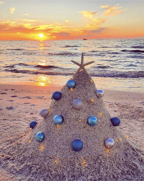 Beach Christmas Pictures, Christmas Beach Photos, Bissell Carpet Cleaner, Christmas Lights Background, Christmas Poses, Florida Christmas, Cool Kids Bedrooms, Xmas Photos, Christmas Sparkle