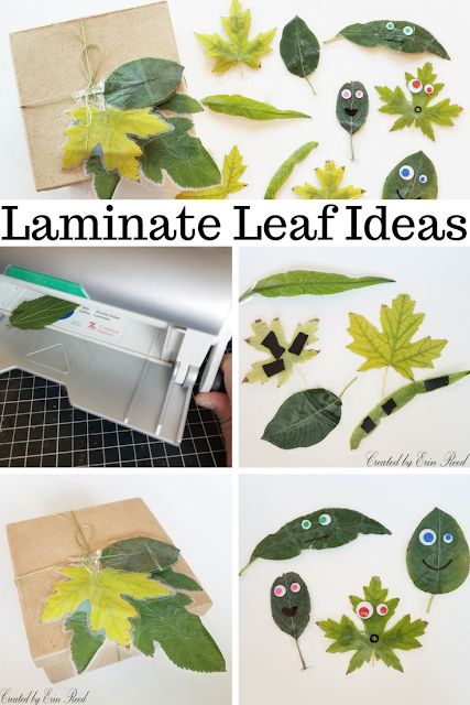 scraps of reflection: 4 Fun Ways to Use Laminated Leaves Laminated Leaf Craft, Laminate Crafts Projects, Lamination Projects Ideas, Things To Laminate, Laminate Leaves, Laminated Crafts, Laminator Crafts, Laminated Leaves, Laminating Crafts