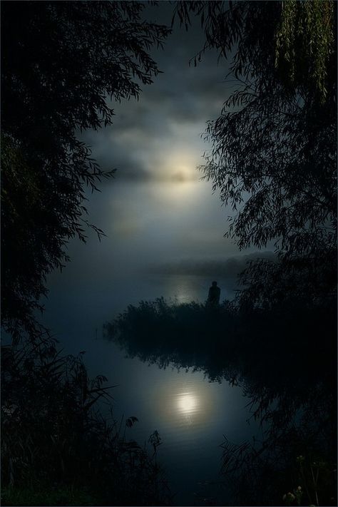 Photography Night, Shoot The Moon, Moon Pictures, Beautiful Moon, The Night Sky, Chiaroscuro, Dark Night, Nature Beauty, Night Sky