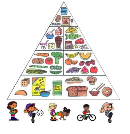 Food Pyramid Kids, 30 Day Paleo Challenge, Free Multiplication Worksheets, Preschool Family, Health Chart, Low Glycemic Diet, Food Tech, Food Pyramid, Food Charts