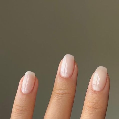 Alison • nailsbyalsn on Instagram: "a dainty milky mani for bridal season 👰🏻‍♀️✨ inspired by @matejanova 🫶🏻 Using @gelcare.official Coconut Milk Cloud *code NAILSBYALSN to save (aff) Prep @officialnavyprofessional Ring @treasurebox.jewelry ———— #milkynails #bridalnails #squovalnails #nudenails #gelnails #nailinspo #cutenails" Milky Bridal Nails, Milky Biab Nails, Modern Neutral Nails, Coconut Milk Nails, Fun Bridal Nails, White Fingernails, Milky Manicure, Milky French Manicure, Milk Nails