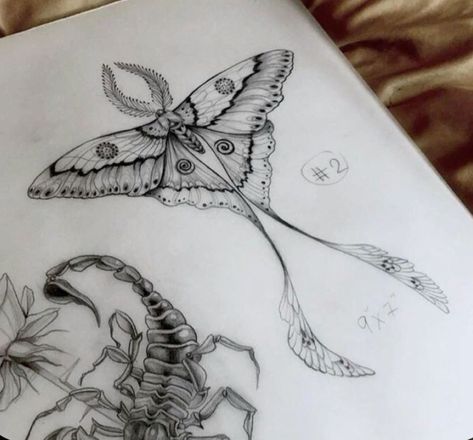 Realism Moth Tattoo, Sentimental Tattoo Ideas, Butterfly Flash, Lunar Moth Tattoo, Luna Moth Tattoo, Word Tattoos With Meaning, Clavicle Tattoo, Word Tattoo Ideas, Moth Tattoo Design