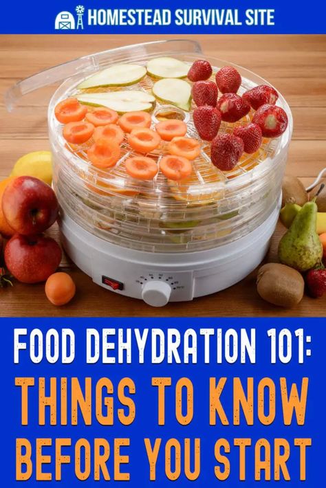 Food For Emergencies, Dehydrating Food Storage, Food Dehydration, Long Term Food Storage, Dehydrated Fruit, Baking Basics, Urban Survival, Emergency Food, Dehydrated Food