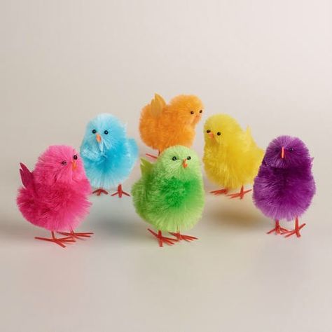 Rainbow Chicken, Rainbow Animals, Chicken Coloring, Rainbow Pictures, Beautiful Chickens, Chicken Coop Designs, Rainbow Aesthetic, Chicken Breeds, Colorful Animals