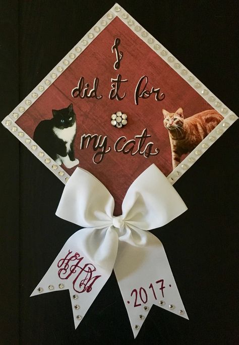 Cat graduation cap, featuring actual cats Rex Orange County Graduation Cap, Vet Graduation Cap, Graduation Caps Veterinary, Veterinarian Graduation Cap, Goth Graduation Cap, Graduation Cap Designs Cat, Cat Graduation Cap, Cat Grad Cap, Funny Grad Cap Ideas