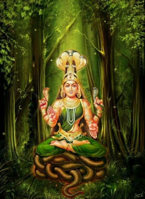 🐍 Maa Manasa Devi 🐍 Kollur Mookambika, Dimensions Universe, Maa Manasa, Manasa Devi, God Pics, Aadi Shakti, Happy Ganesh Chaturthi Images, Ganesh Chaturthi Images, Shakti Goddess