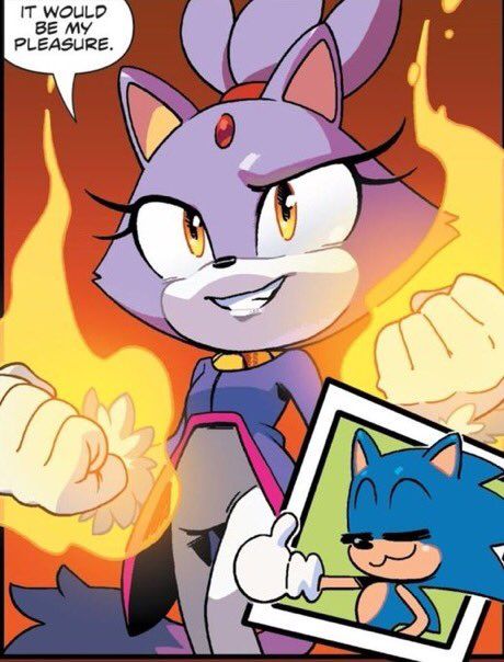 Blaze The Cat, Sonamy Comic, Sonic Heroes, Silver The Hedgehog, Love Her So Much, Cat Comics, Sonic Fan Characters, Sonic 3, Sonic Franchise