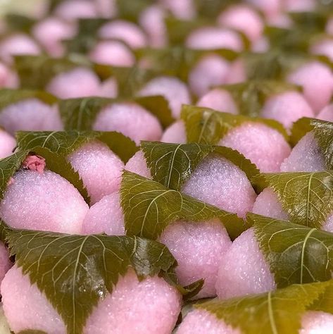 Have you tried sakuramochi (さくらもち)? Now that the cherry blossoms have started to bloom in Japan it's the perfect treat!⁠⁠📷: @mitaka_sueki Mochi Japanese, Pink Rice, Sakura Mochi, Cherry Leaf, Red Bean Paste, Lunch Food, Japanese Tea Ceremony, Red Bean, Japanese Snacks