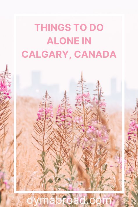 There are a lot of amazing things to do alone in Calgary. So if you're wondering if solo travel in Calgary is nice, it definitely is! #calgary #thingstodoalone #soloactivities #solotravel #canada Moving To Calgary, Calgary Aesthetic, Things To Do Alone, Travel Ads, Calgary Canada, Island Park, Urban Park, Travel Spots, Go Hiking