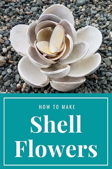 Erin Reed Makes: Beach Art - Seashell Flowers Shell Arrangements Seashells, Sea Shell Flowers How To Make, Seashell Flowers How To Make, How To Make Oyster Shell Magnolia Flower, Sea Shell Flowers Diy Seashell Crafts, She’ll Christmas Ornaments, Shell Flowers How To Make, Shell Flowers Seashell Crafts, Seashell Flowers Diy