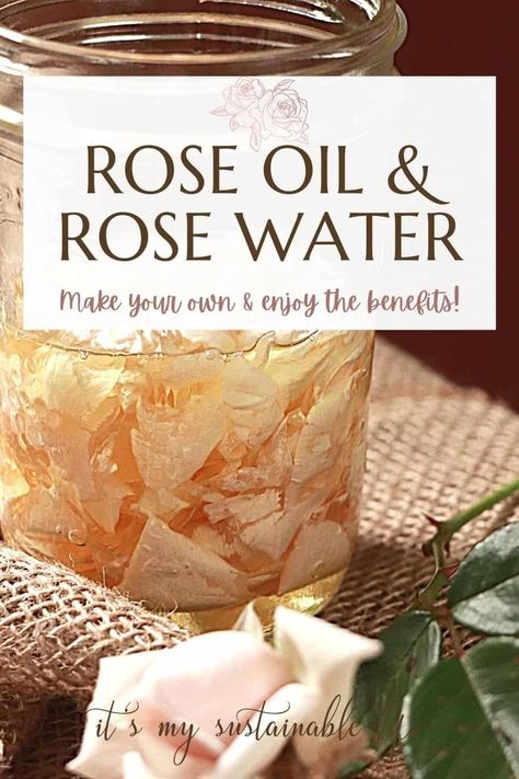 DIY rose oil and rose water is easier than you may think! Learn to make homemade rose oil and homemade rose water with these simple steps! #howto #tips Rose Oil Uses, How To Make Rose Oil At Home, How To Make Rose Water For Face, What Is Rose Water Good For, Diy Rose Oil For Face, How To Make Rose Water, Homemade Rose Water, Rose Water Diy, Castor Oil For Face